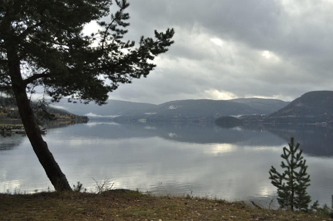 Fyresdal Gjestehus Moland Exteriér fotografie